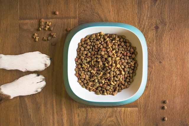 Ração Premium para Cães Adultos 10,1 kg