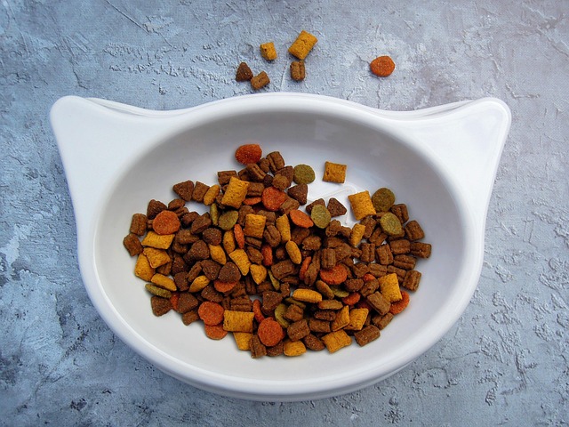 Ração Premium para Gatos Castrados 3 kg