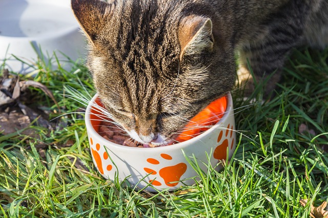Sachê Gatos Atum ao Molho 85 g